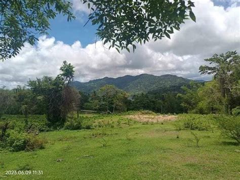 100 Sqm Lot For Sale In Batangas .